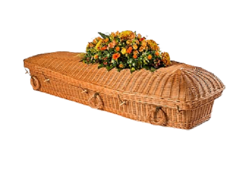 Willow-Pod Coffin
